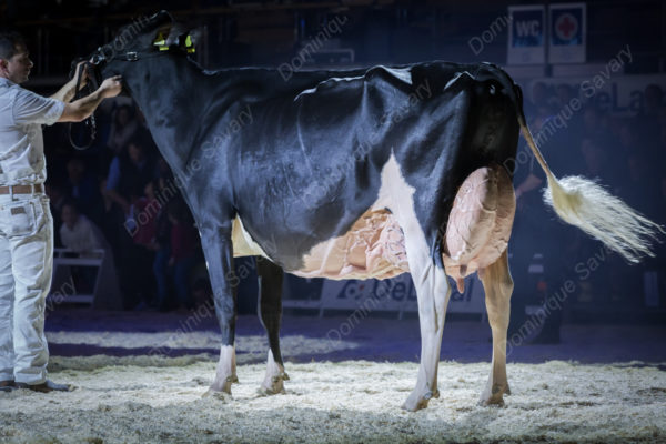 Expo_bulle_2018-9264