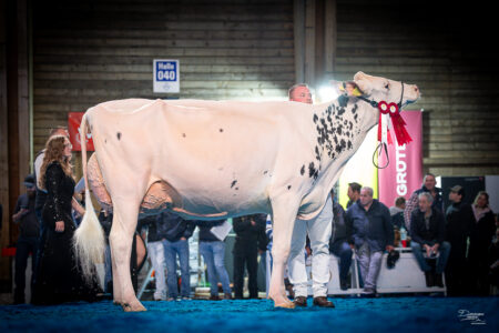 Sebholstein Mooi ESCARGOT