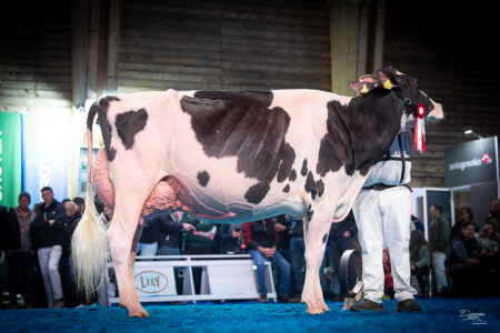 Championne Nationale 2026 Schoenhof Alligator DAKOTA-9105