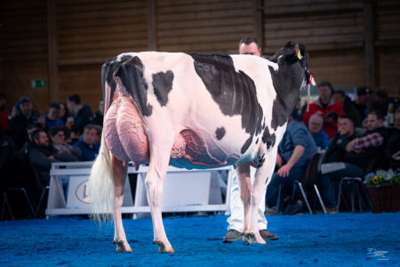 Championne Nationale 2026 Schoenhof Alligator DAKOTA-9105