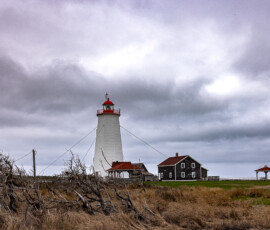 Forêt et grands espaces du Nouveau-Brunswick — Savary Photography