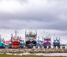 Rivage sauvage du Nouveau-Brunswick au lever du jour — Savary Photography