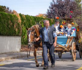 Un cheval attelé au train de chalet avec des enfants, désalpe d'automne