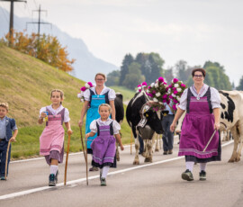 Troupeau de la famille Favre à la désalpe de Semsales