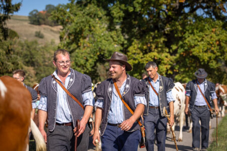 De beaux sourires en marchant avec le troupeau lors de la désalpe